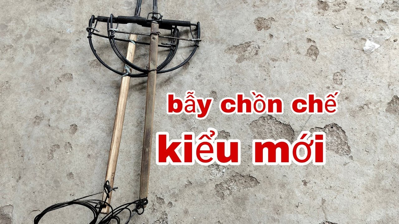 chế bẫy chồn và hướng dẫn đặt bẫy chồn hiệu quả cao ( thợ rừng chế bẫy )