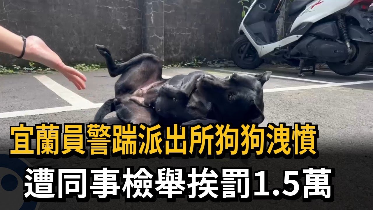 洩憤？五結分駐所「黑皮遭踹骨折」 員警舉發自家同事－民視新聞