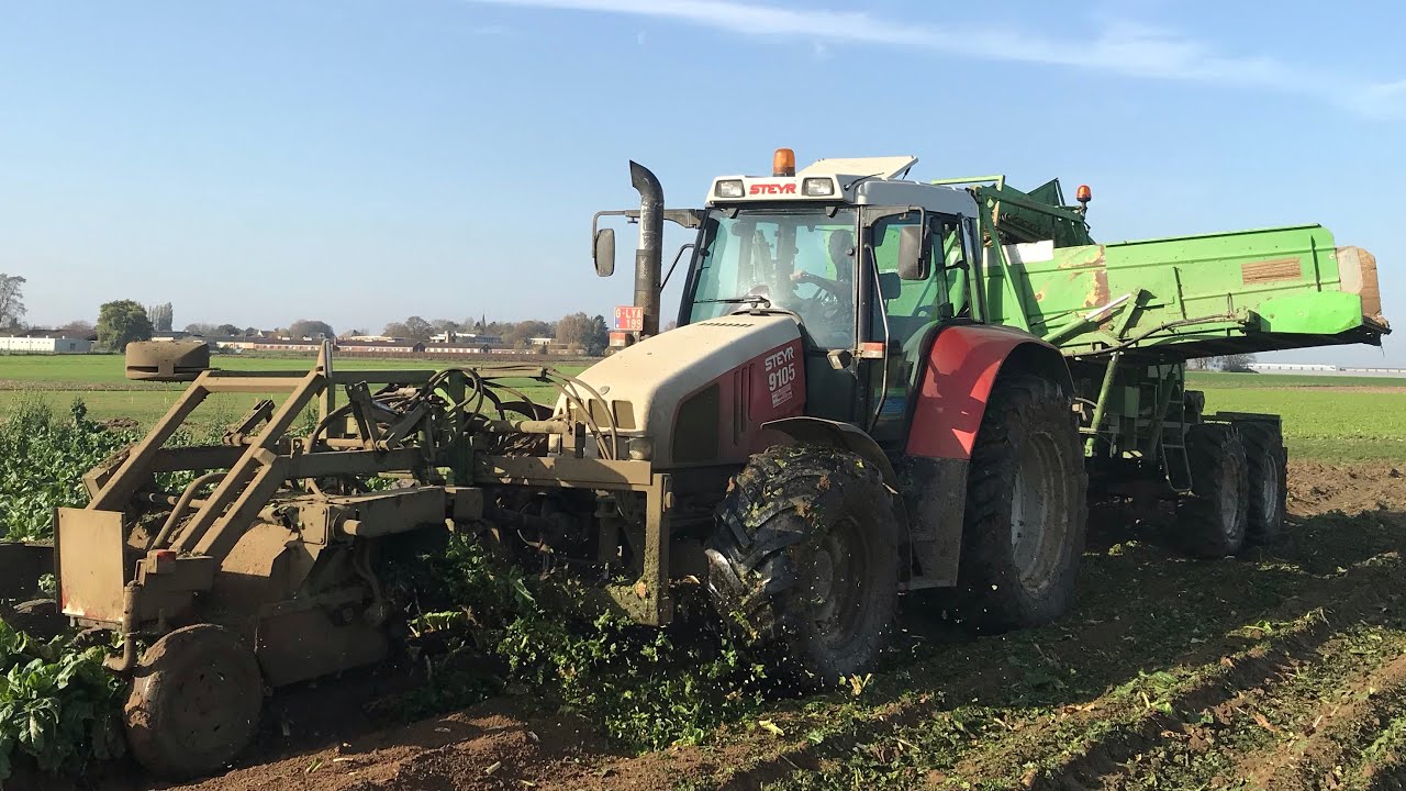 *UNIQUE*  Steyr 9105 & Verstraete harvester | Harvesting chicory | 2020