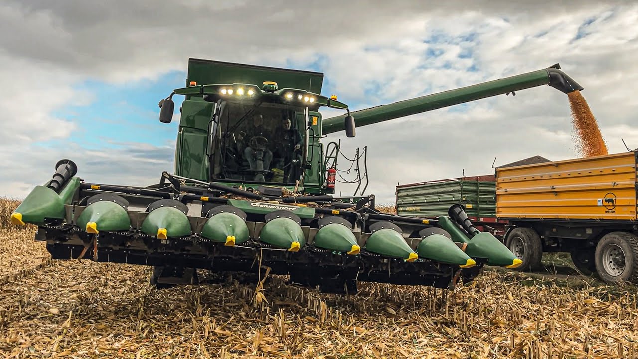 JOHN DEERE T560i w GR Piwko?! 🌽 Kukurydza na ziarno | FRICKE & PiwPol