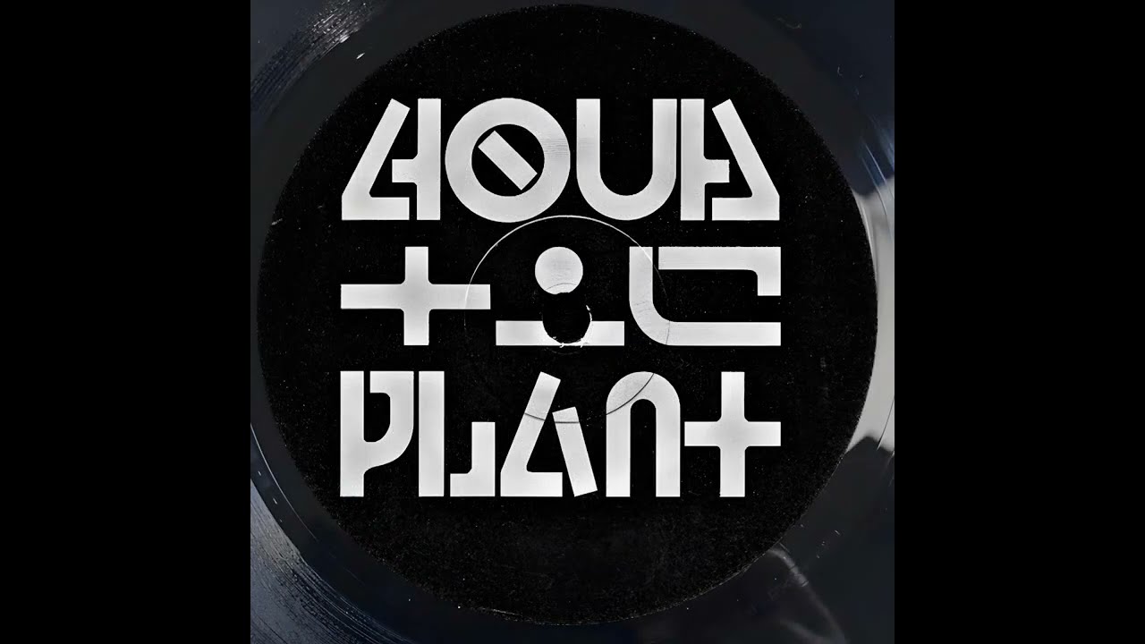 Analoge Dynamix - Get Busy 1995 (Acid)