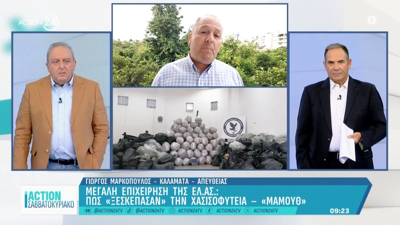 Αρκαδία: Εντοπίστηκε χασισοφυτεία «μαμούθ» - Πώς τους «ξεσκέπασε» η ΕΛ.ΑΣ. | ACTION 24