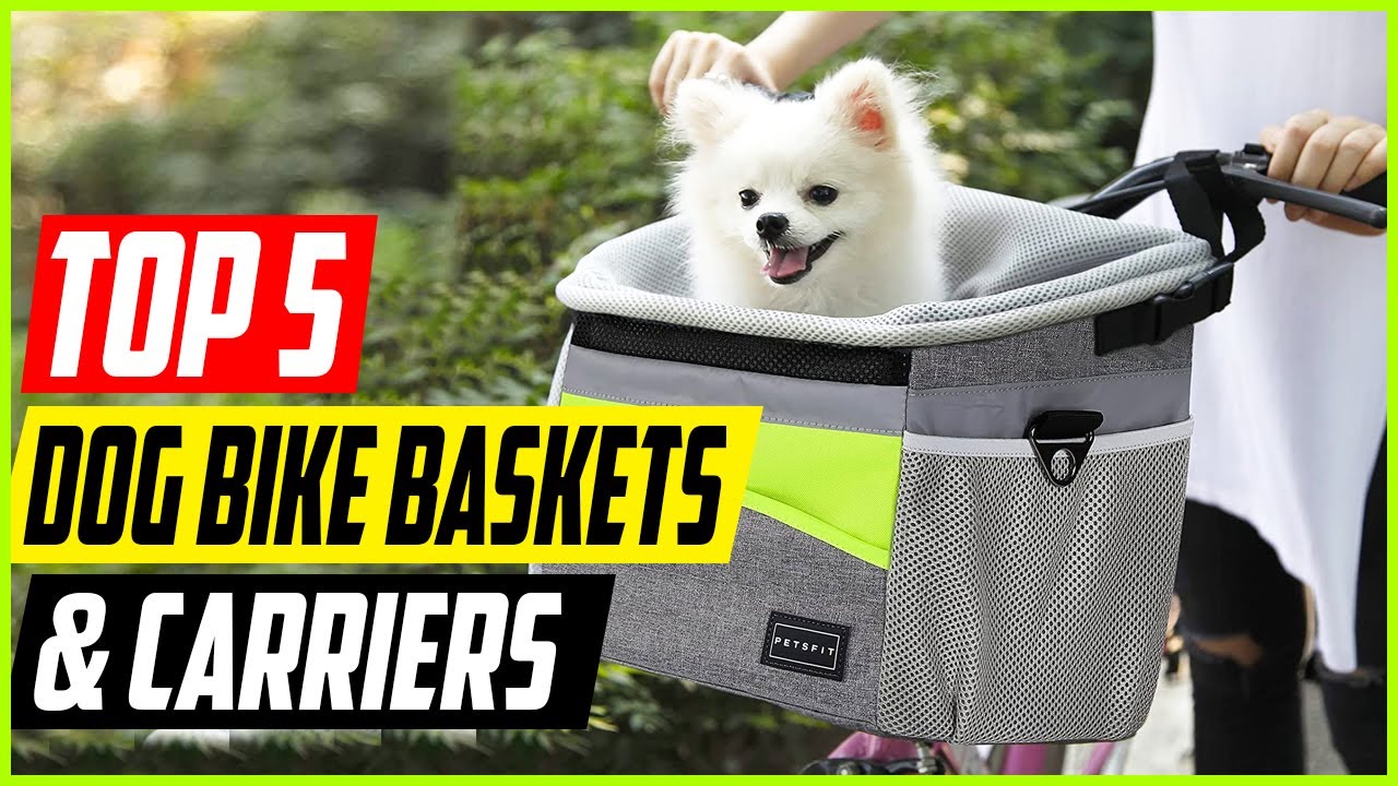 Top 5 Best Dog Bike Baskets and Carriers.