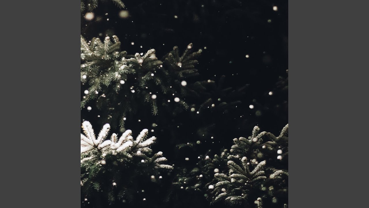 Wonder in Winterland