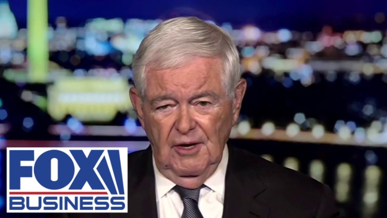 'DEMOCRAT GAMBLE': Gingrich says Schumer is putting 'a lot of Dems at risk'