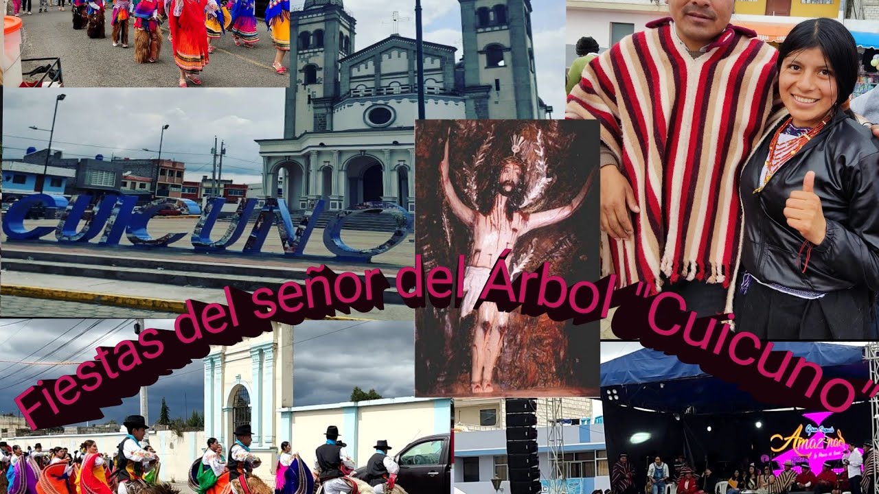 Fiestas del señor del Árbol  