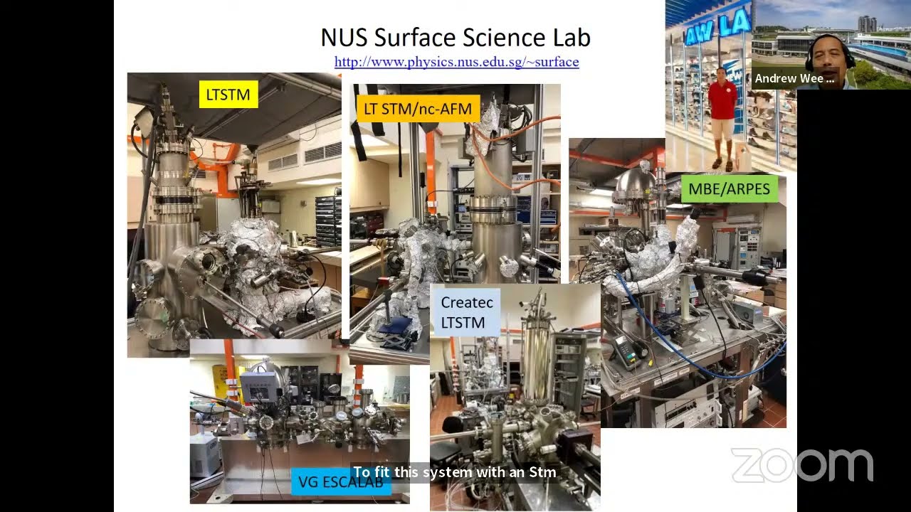 2D TMDs: New Wonder Materials?