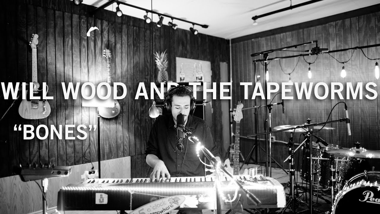 LIVE IN STUDIO - Will Wood and the Tapeworms - 