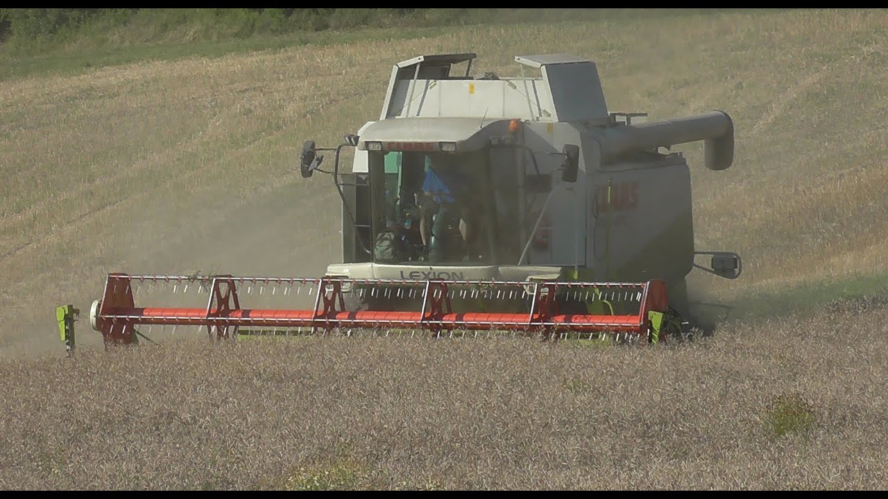 Rapsernte 2014 mit Claas Lexion 470