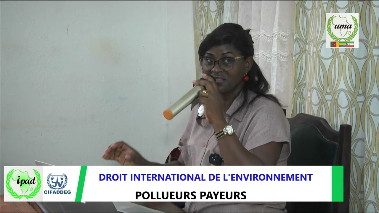 CARRIERES INTERNATIONALES ET DIPLOMATIQUES