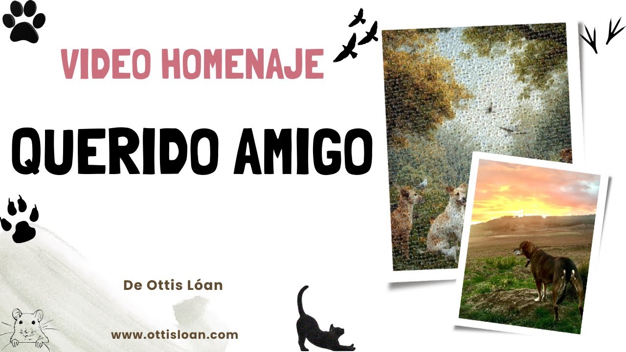 Querido amigo - Ottis Lóan (Video Homenaje)