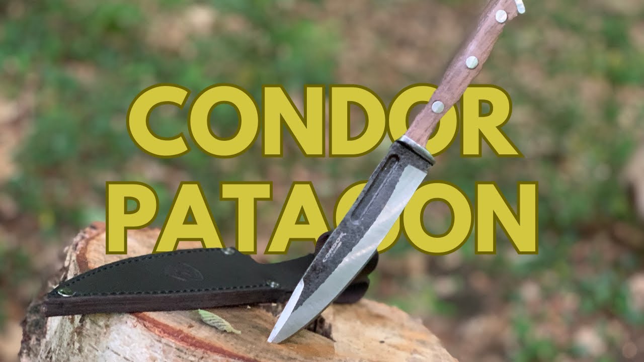 Le Condor Patagon : OUI... mais... non ! 😅