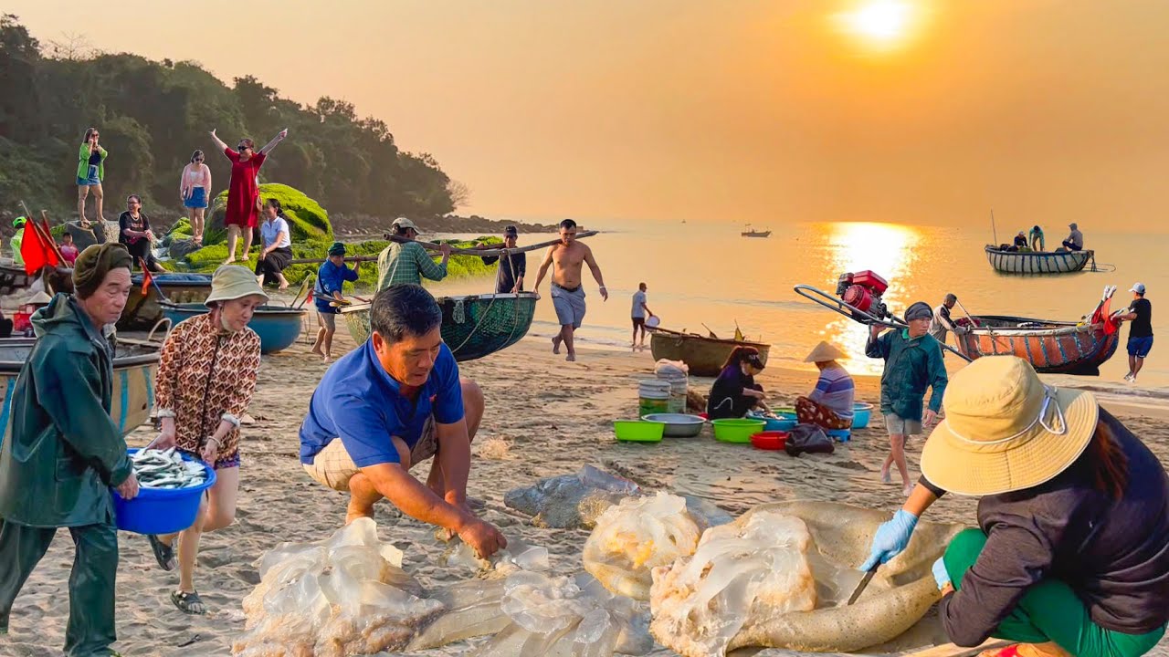 Nghề Làm Sứa Tươi Trên Làng Chài Cổ Đà Nẵng║Ngôi Chợ Bán Dài Nhất Mà Bảo Từng Biết
