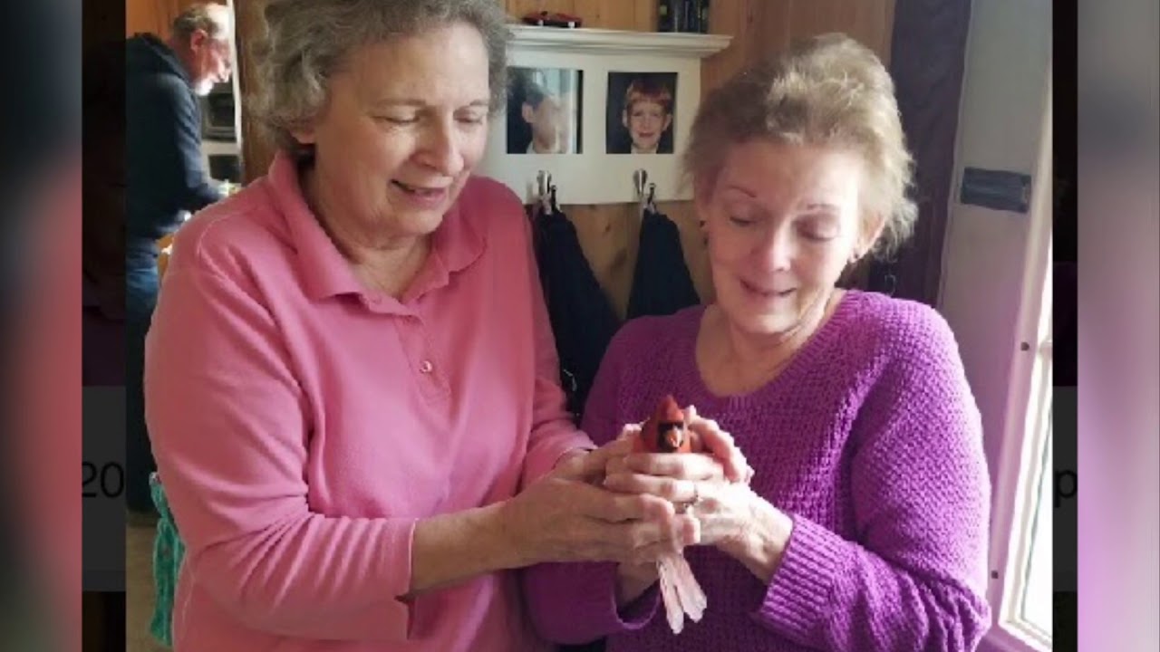 “A Cardinal Miracle“ song and video