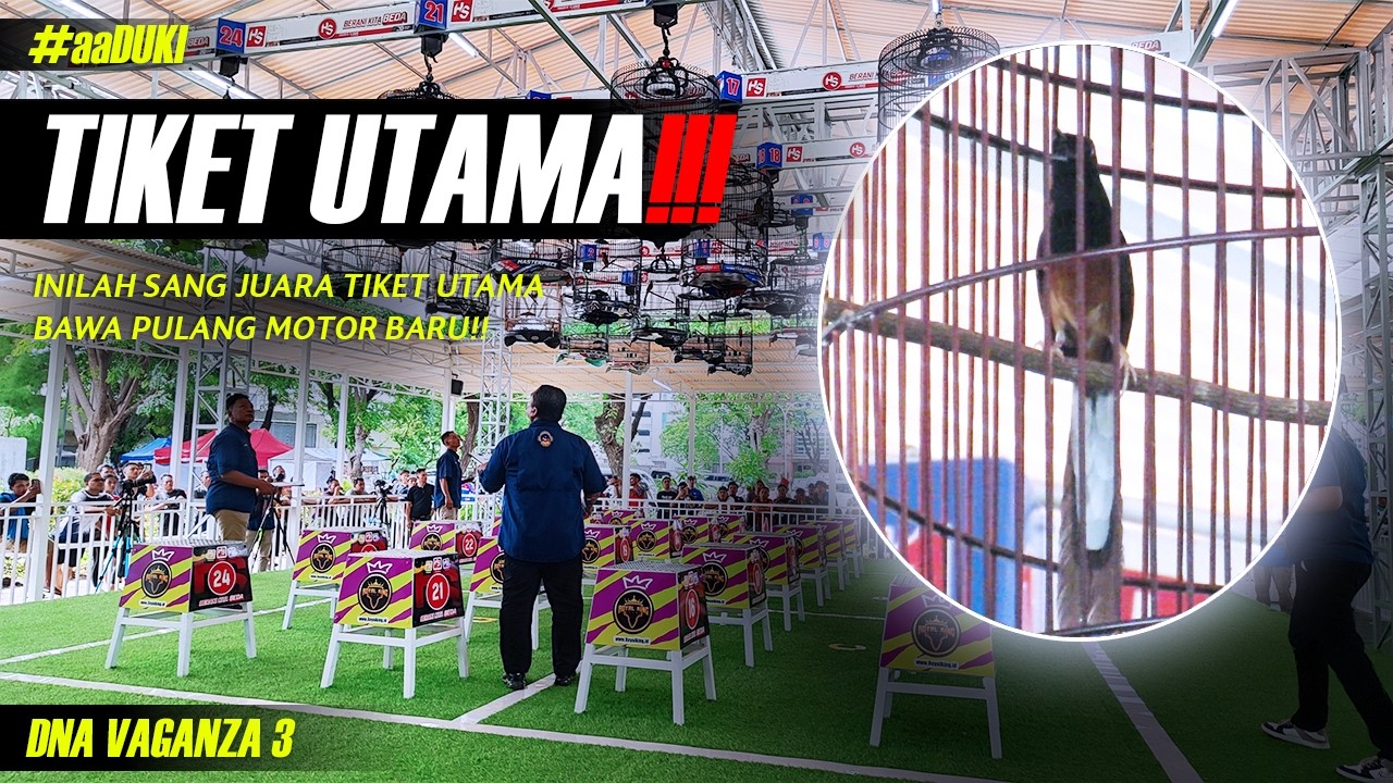 Inilah Murai Batu Juara Tiket Utama No 18