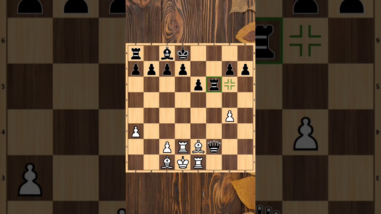 bishops hunt pawn and rook hunt bishops 