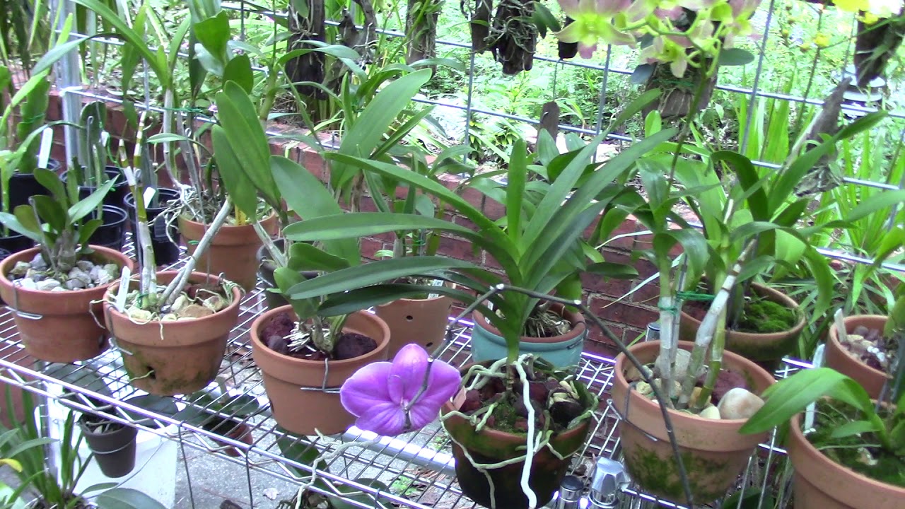 .....winter grow plans, winter lighting, and nutrients