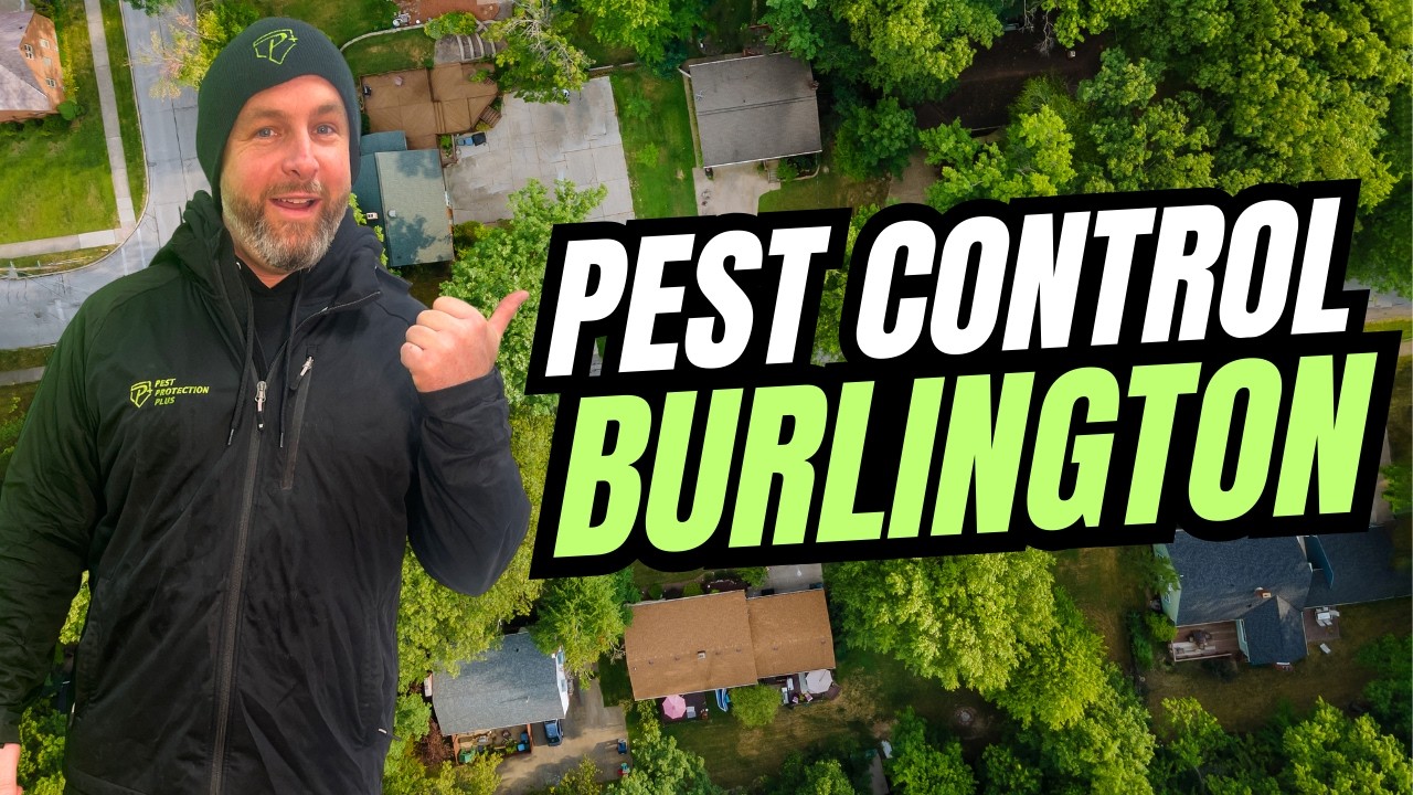 Burlington Pest & Wildlife Control: Professional Solutions for Homes and Businesses