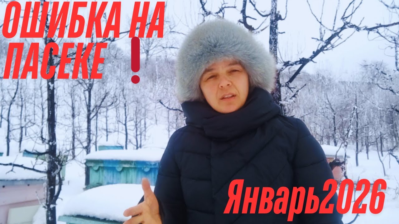 ❗ОШИБКА НА ПАСЕКЕ ЗИМОЙ | Оттепель −1 |  ОТВЕТ ПЧЕЛОВОДАМ и важные выводы.