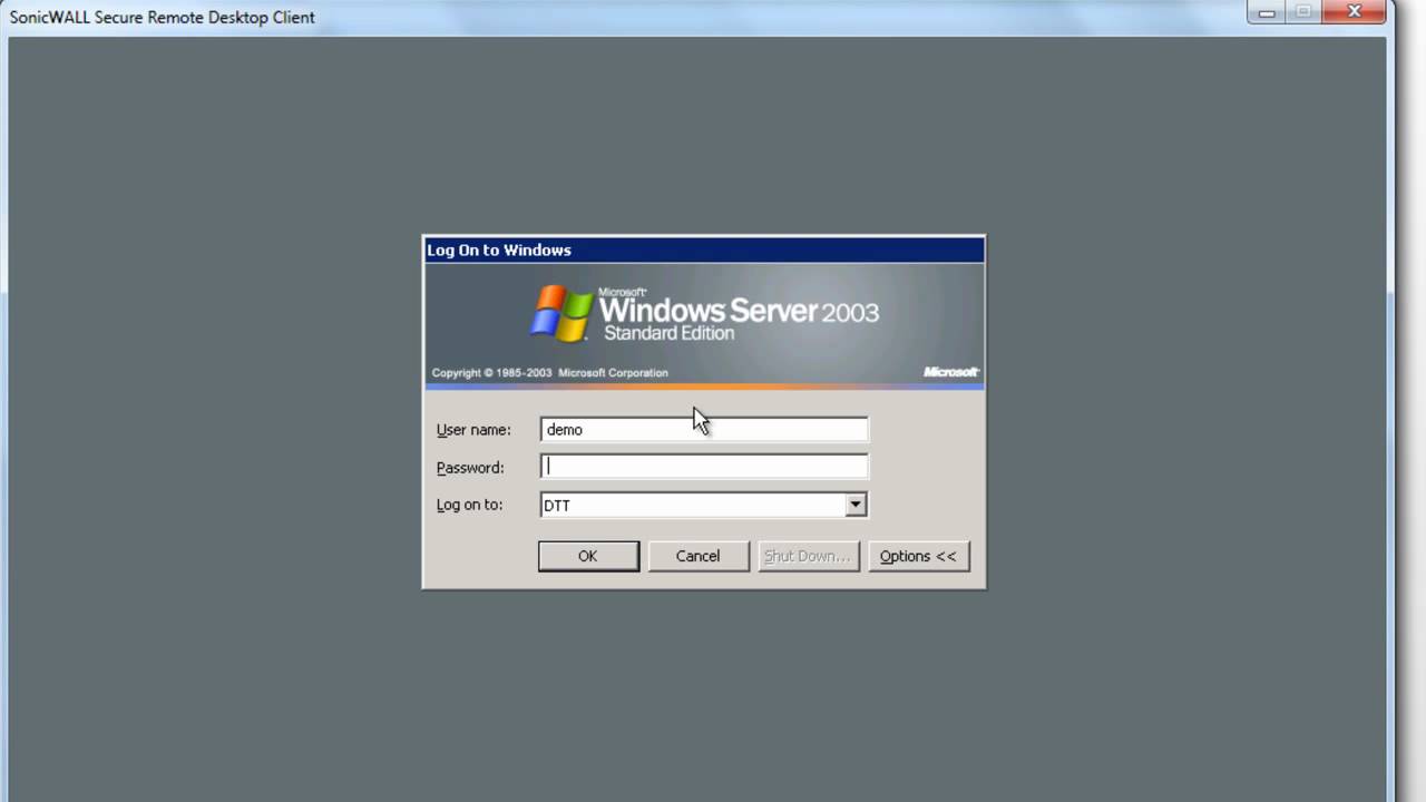 Using Remote Terminal Services over SSL VPN on a SonicWALL