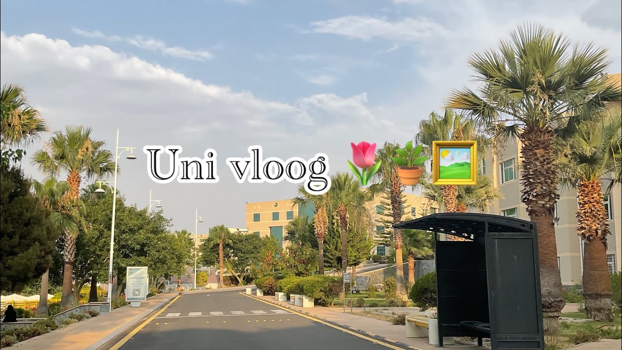 يوم من ايام الترم الصيفي 🖼️🌷🪴 