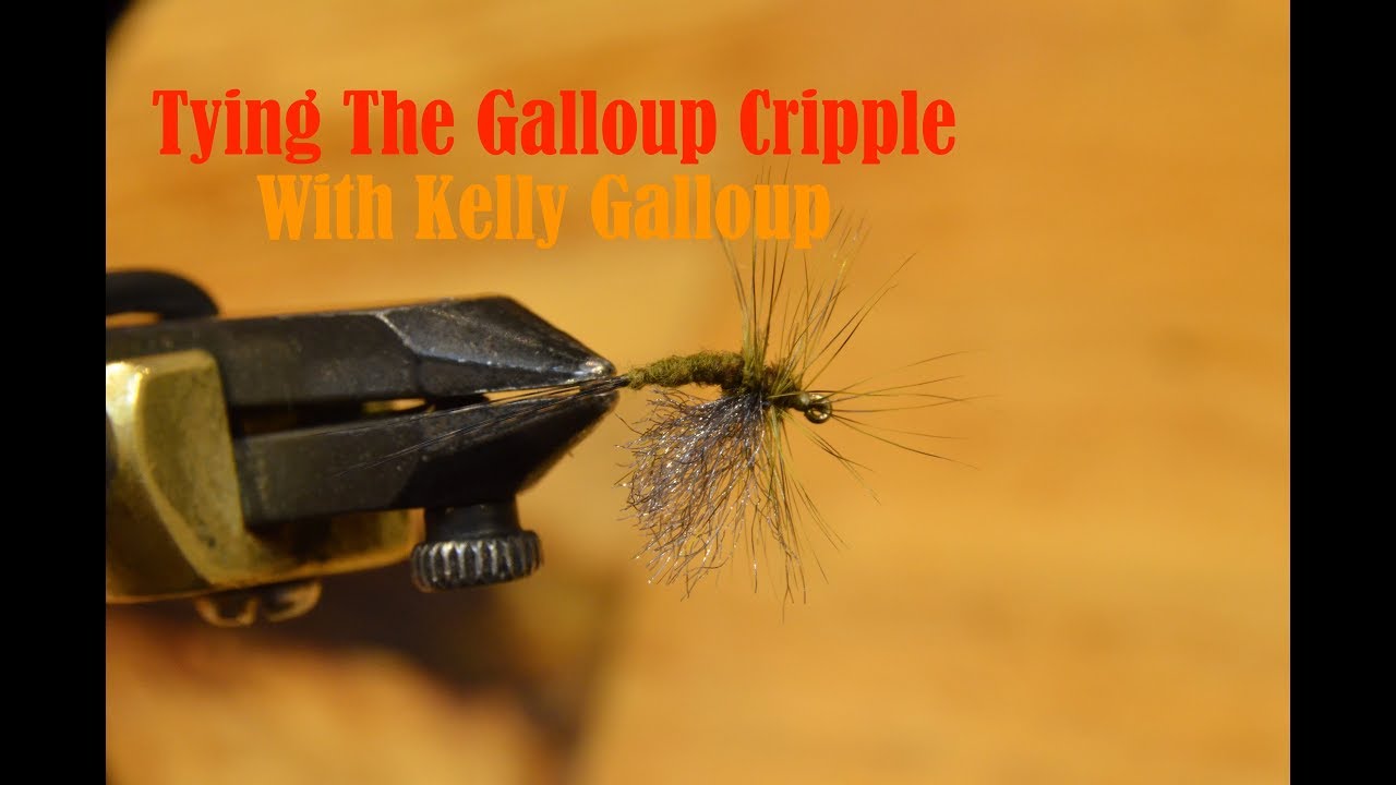 Tying the Galloup Cripple with Kelly Galloup