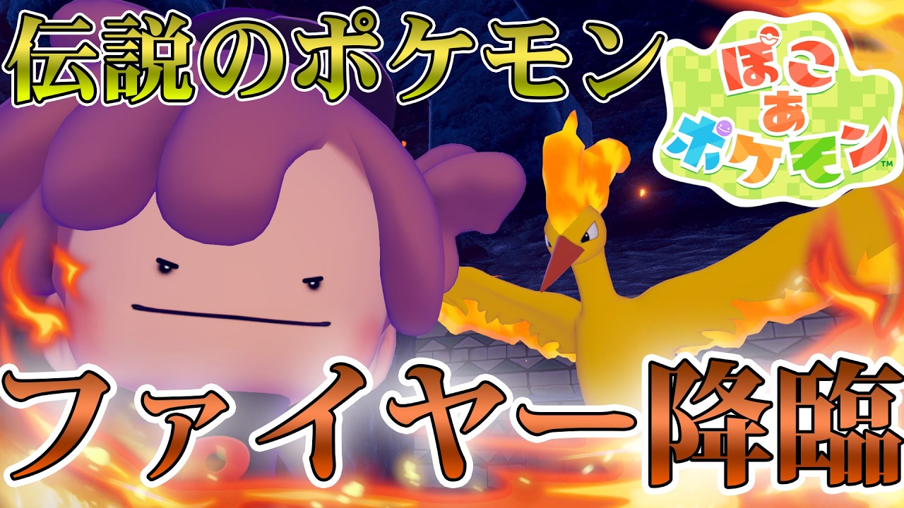 ぽこポケでファイヤーと出会ってみた！！【ぽこあポケモン】