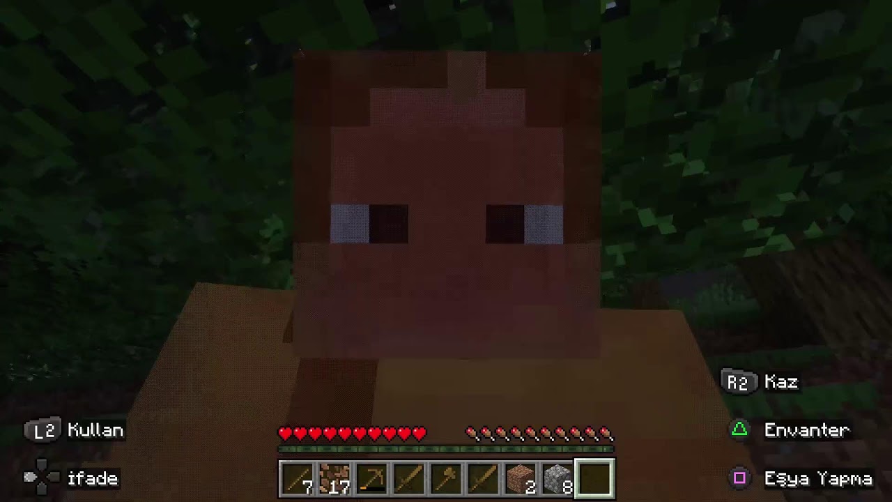 Minecraft hayatta kalma