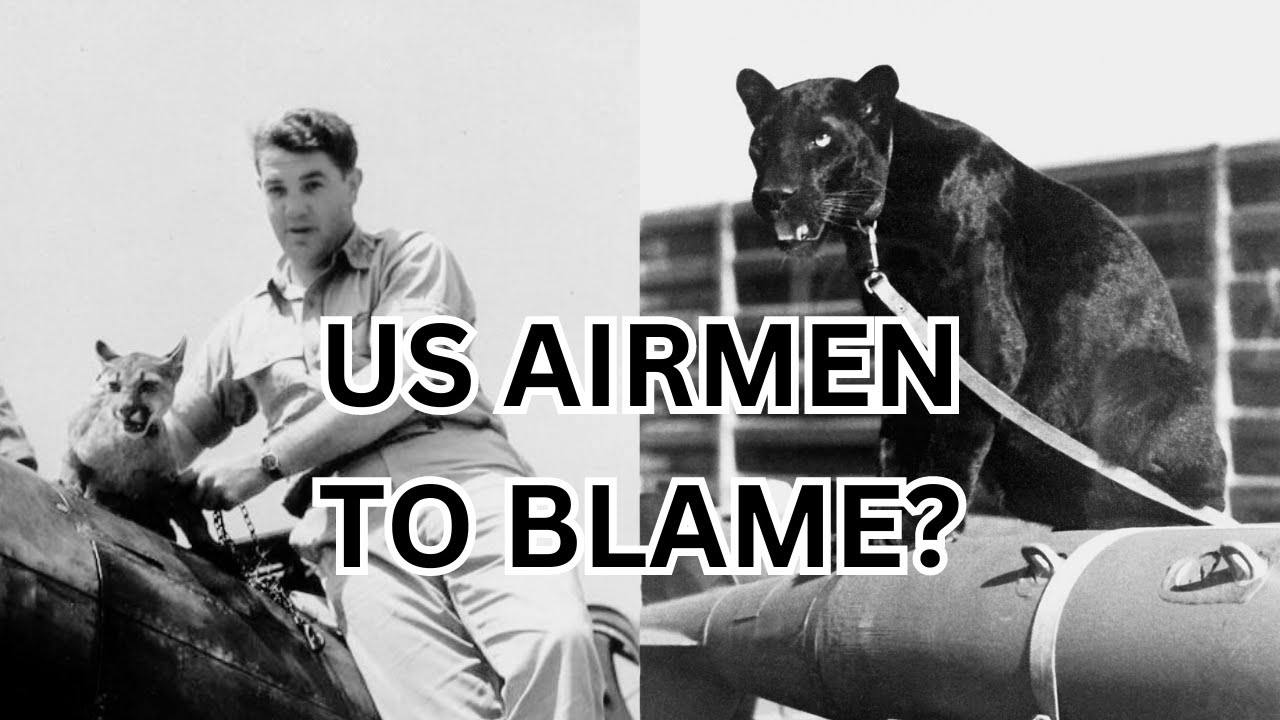 Are US Fighter Pilots to Blame for Australia's Big Cat Sightings?