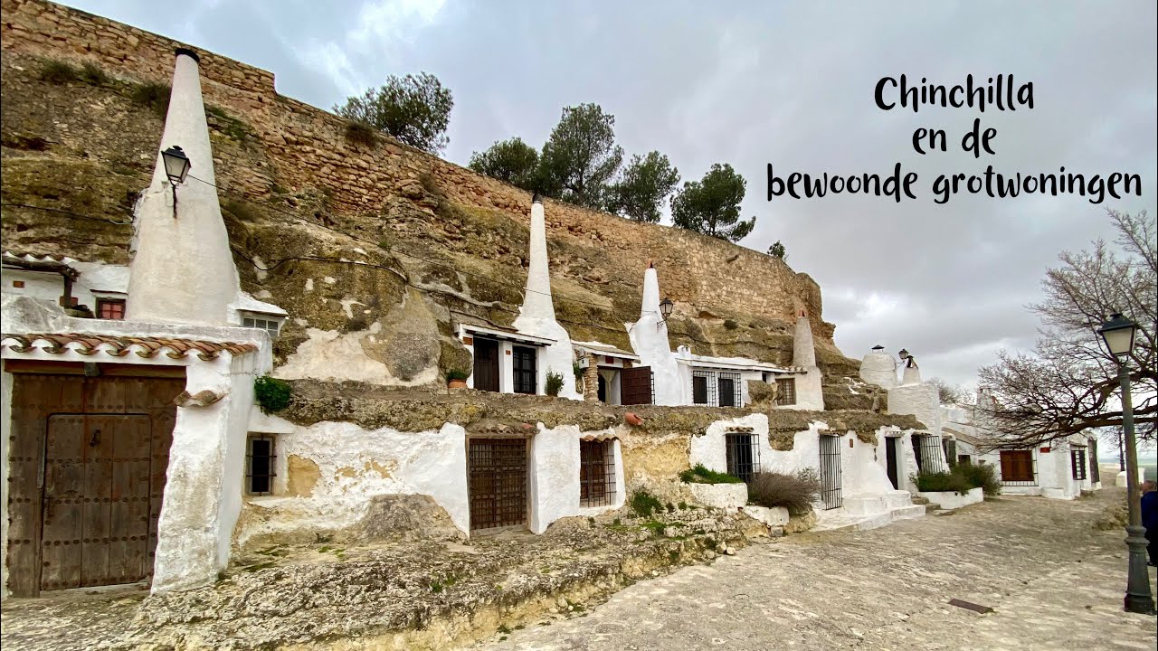 Overwinteren 25-26 29 #chinchilla