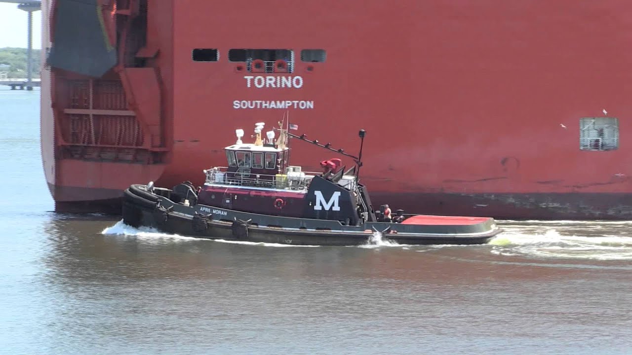 A look around Charleston Harbor