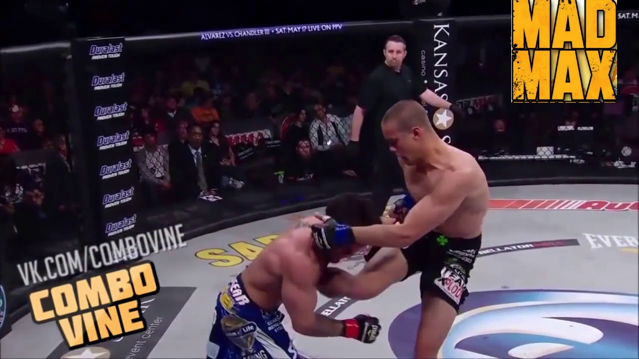 COMBO VINE &brvbar; FIGHT VINE №1