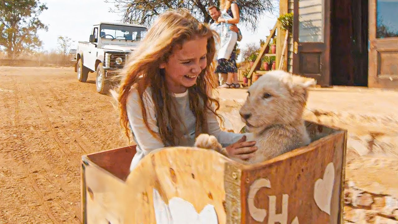 Garota ganha um filhote de leão como presente acreditando que ele não iria crescer