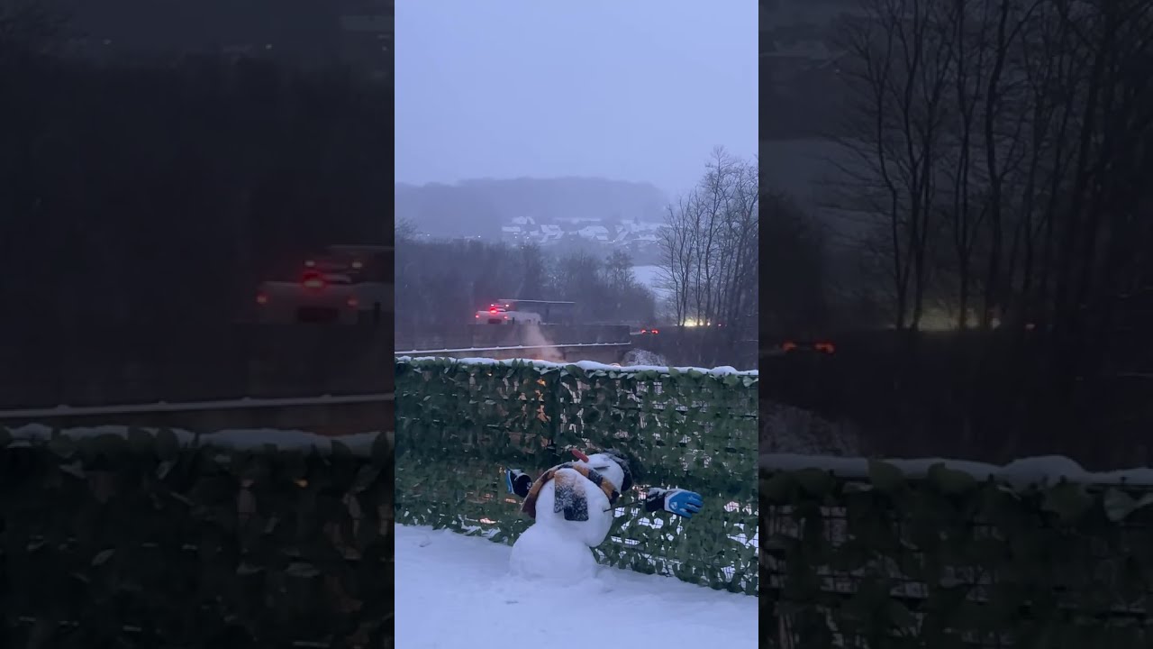 Live: Snowfall in Cologne, Germany 🇩🇪 #snowfall #snow #youtube #shorts #germanytourism #deutschland 