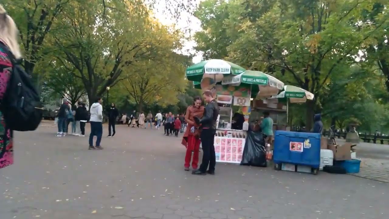 NYC walking central park to midtown manhattan 2022