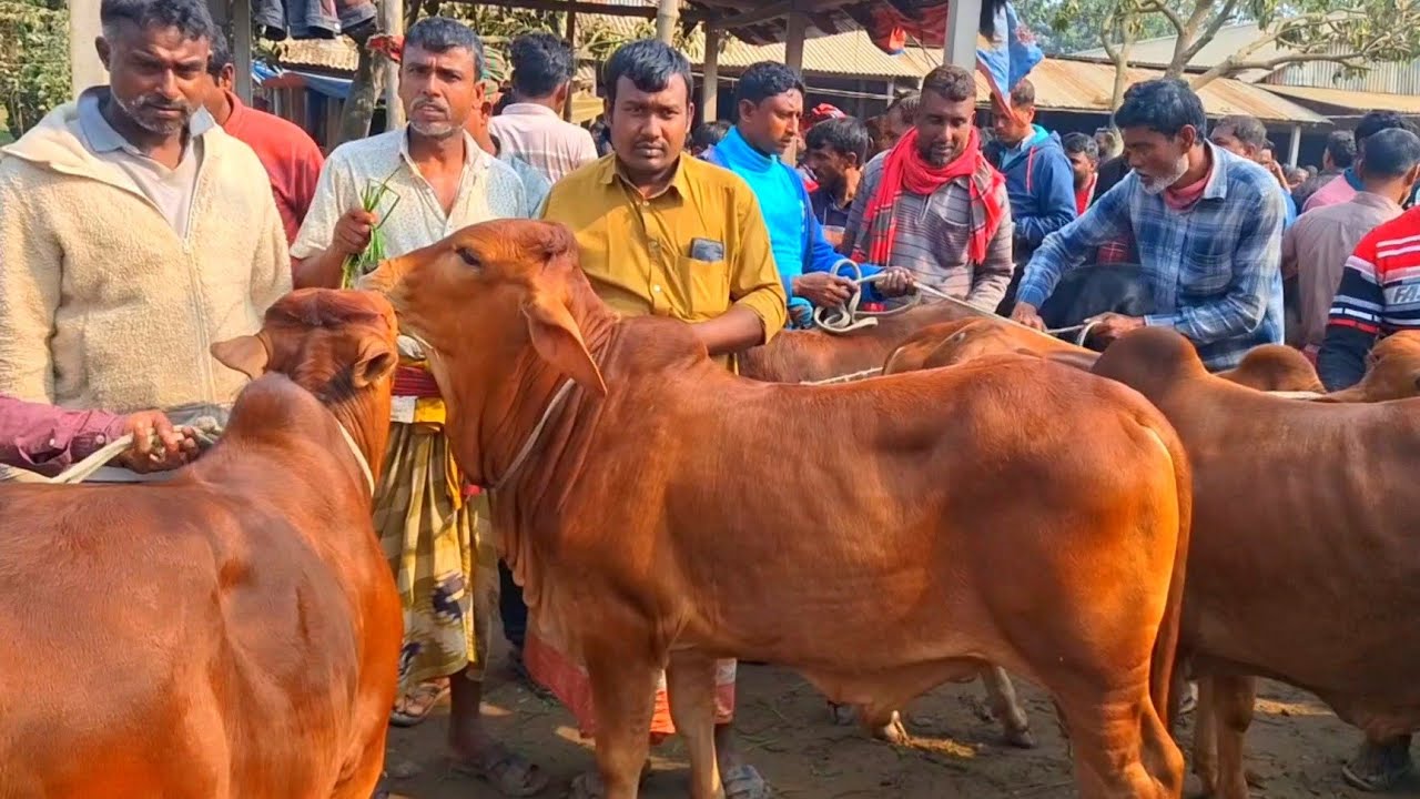 @আজ ২৬ জানুয়ারি