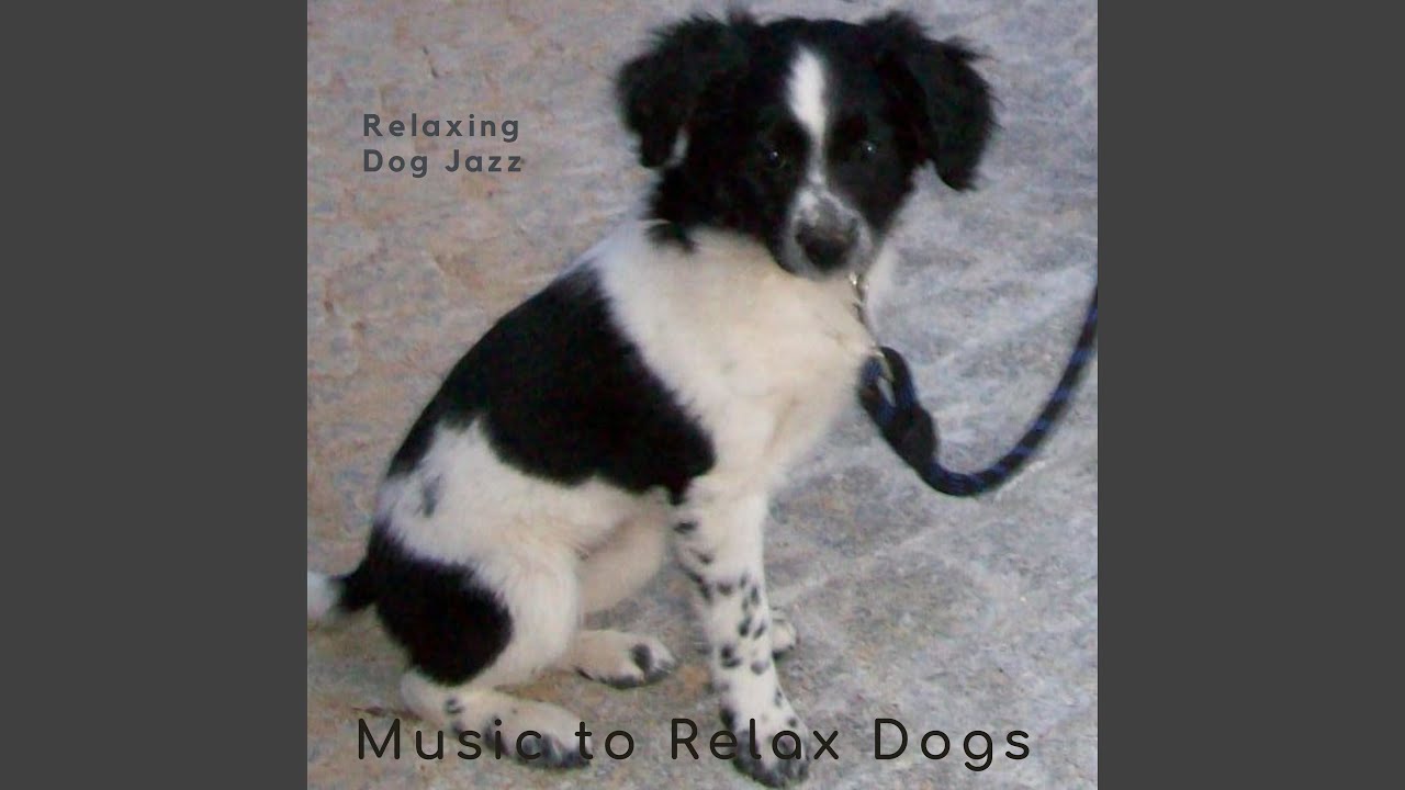 Relaxing Dog Jazz -4