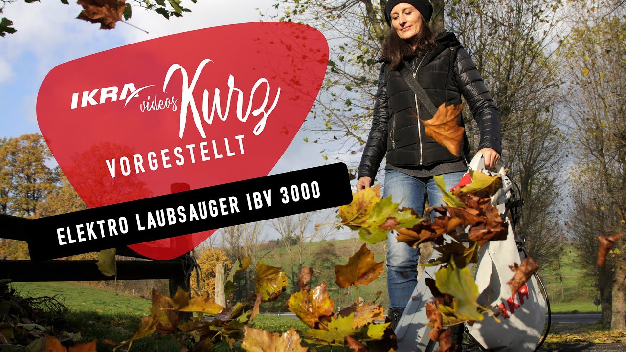 Laubsauger IBV 3000