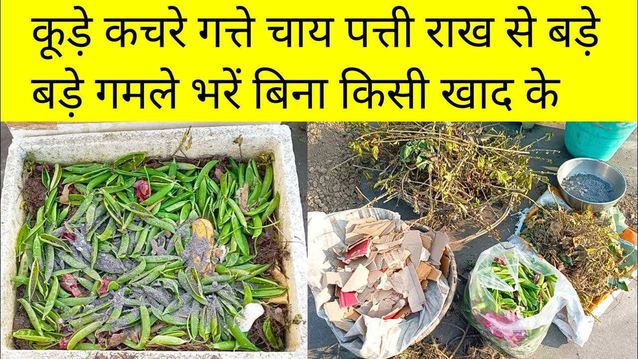 किचनवेस्ट गार्डनवेस्ट चाय पत्ती राख और गत्ते से बड़े गमले कैसेभरें/Fill bigpots with different waste
