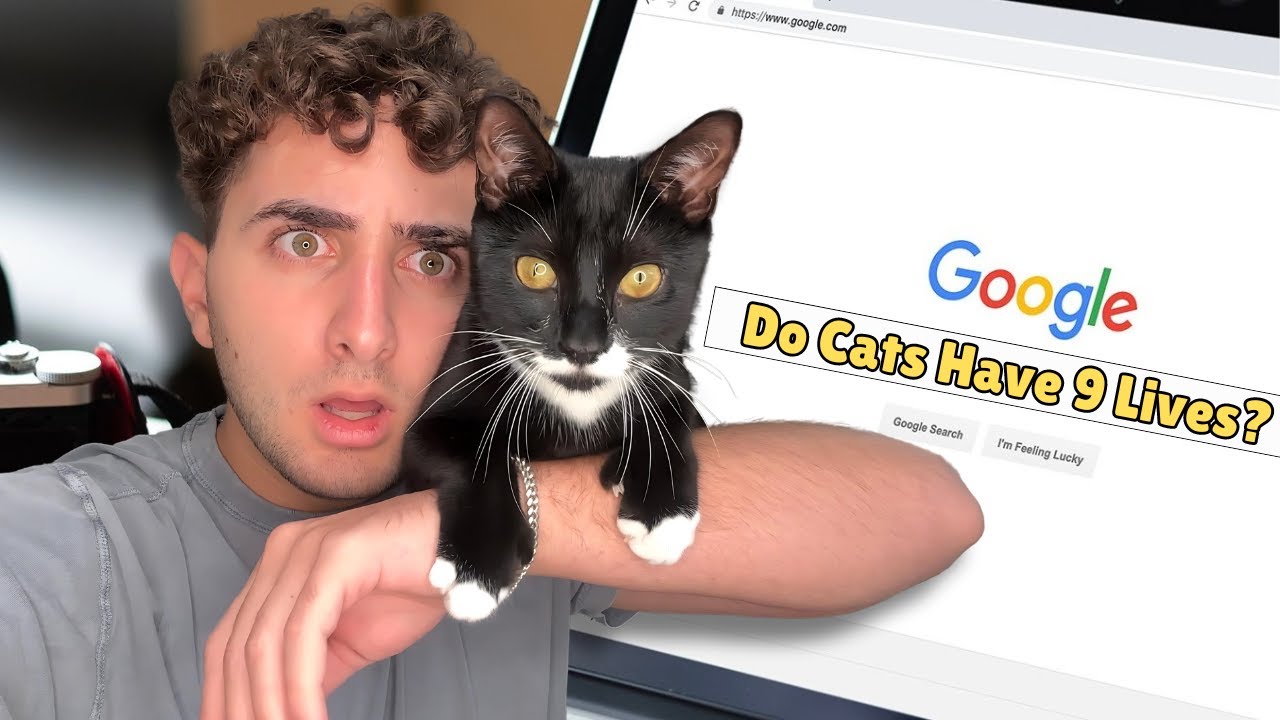 My Cat Tested EVERY Cat Myth...