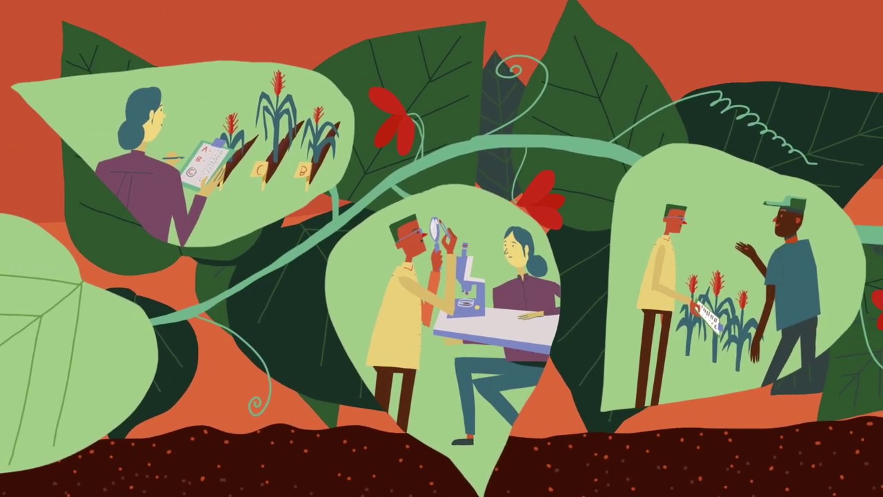 The CGIAR Genebank Platform