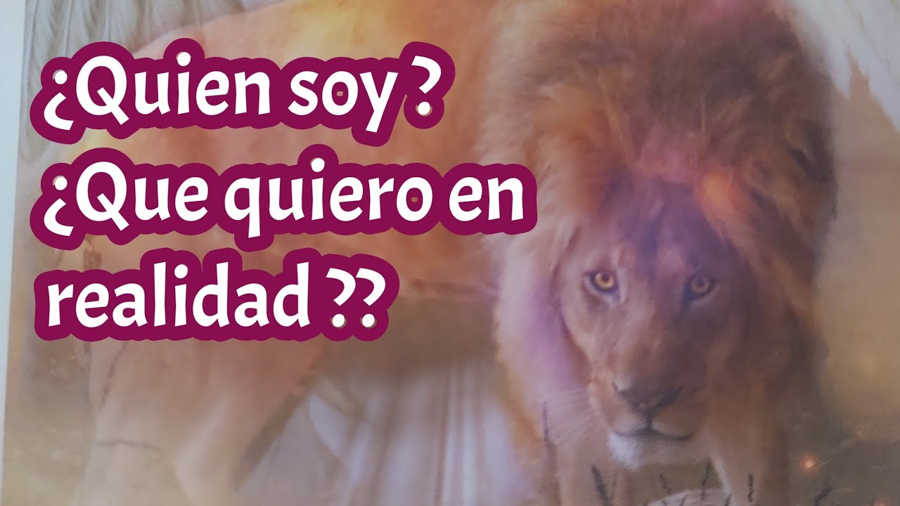 El Espiritu del Bosque Encantado 💕¿Quien soy?🤷‍♀️¿Que quiero en realidad ??