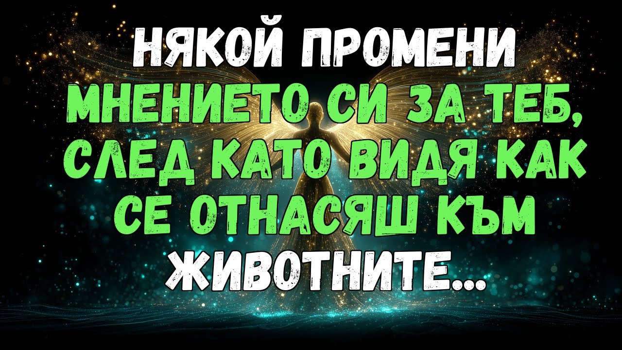 💌❤️ НЯКОЙ ПРОМЕНИ МНЕНИЕТО СИ ЗА ТЕБ, СЛЕД КАТО ВИДЯ КАК СЕ ОТНАСЯШ С ЖИВОТНИТЕ...