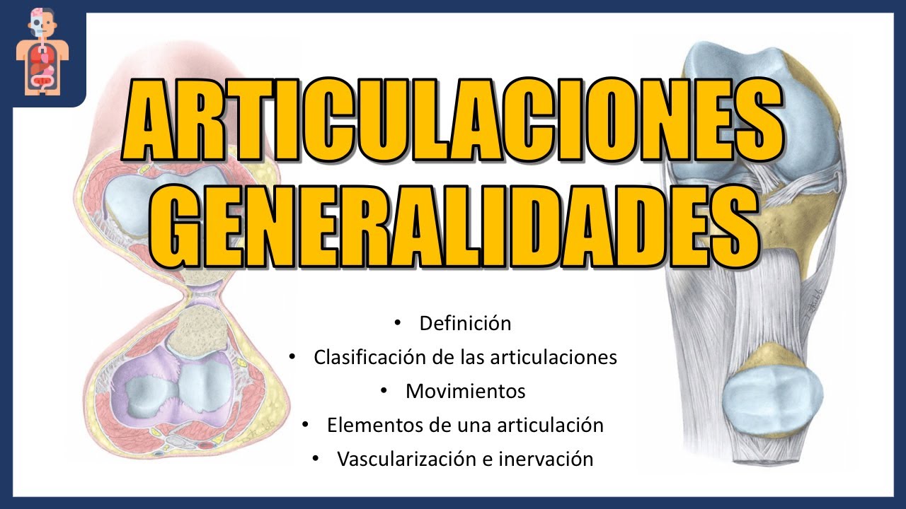 ANATOMÍA - ARTICULACIONES GENERALIDADES
