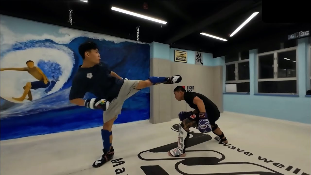 When Taekwondo Works It Looks Sorta Awesome