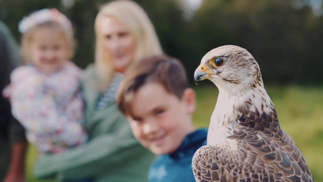 Family Adventures in Sligo - Sligo Tourism Video