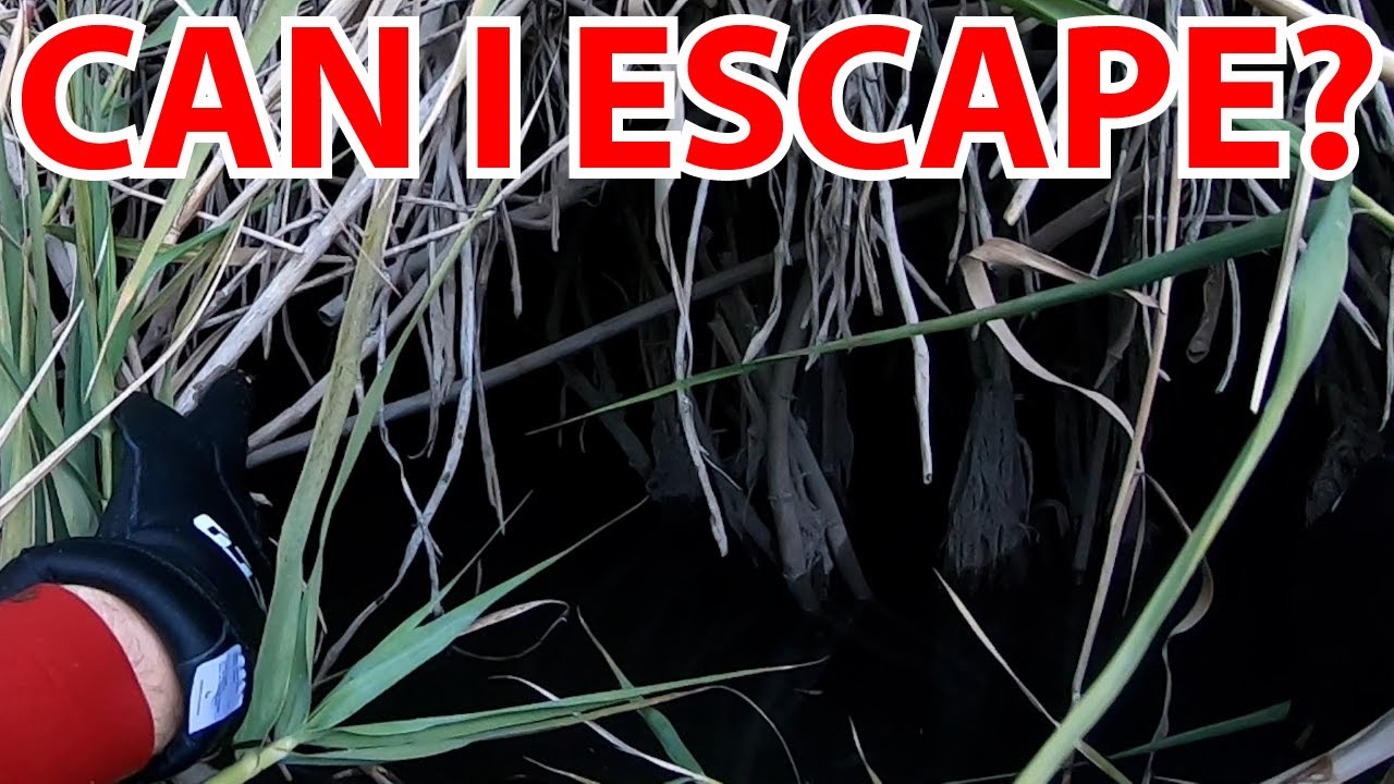 Across The Mojave Ep. 2:  The Shadow of the Reeds