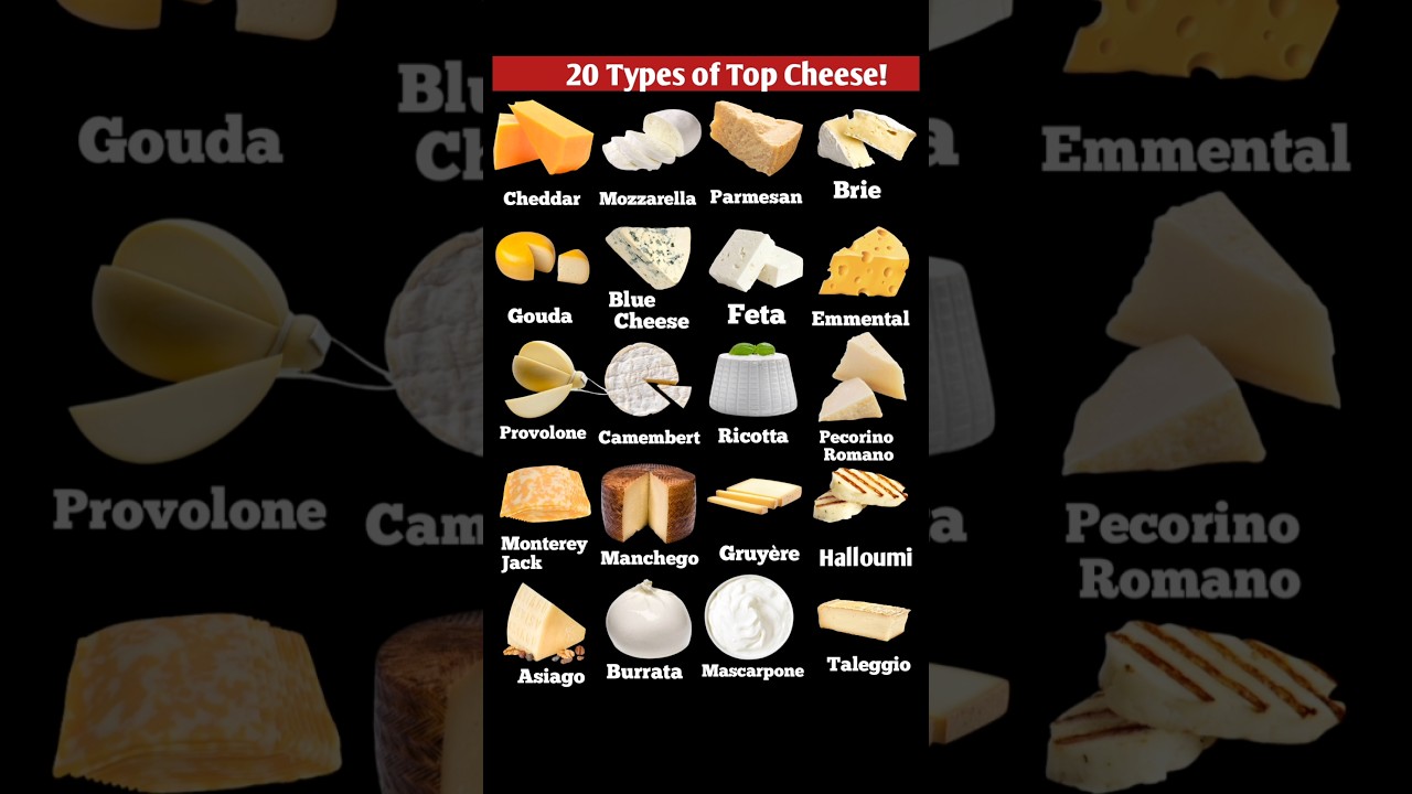 20 popular cheese name | Top 20 cheese name | worlds top cheese