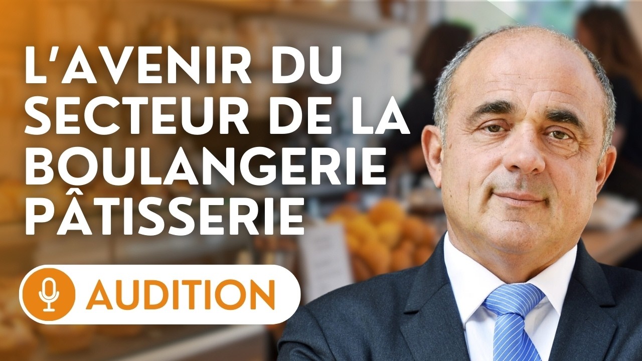 🔴 Audition de la Confédération nationale de la boulangerie-pâtisserie française sur la filière
