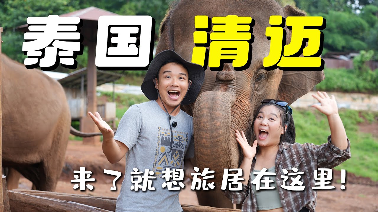 走进泰国第二大城市清迈，5个不容错过的特色体验！｜5 Things to do in Chiang Mai